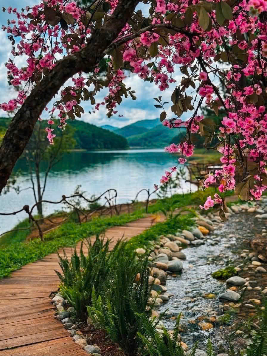 Hồ Vô Cực - Đường Hầm Điêu Khắc