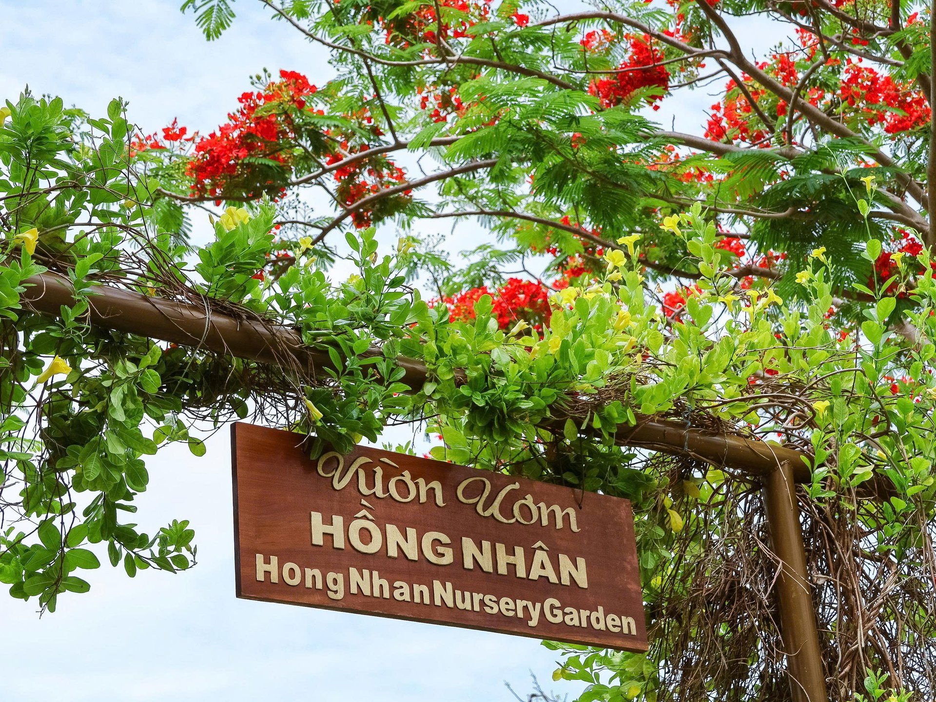 Tour Săn Bắn Cá Hòn Tằm – Hòn Một Nha Trang